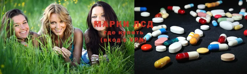 сайты даркнета какой сайт  Курчатов  ЛСД экстази ecstasy  купить наркотики цена 